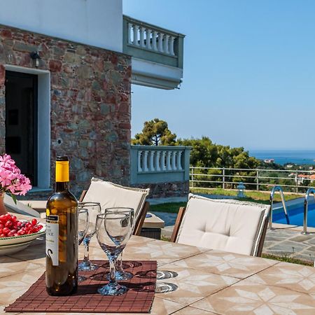 Villa Pavlos Скопелос Экстерьер фото